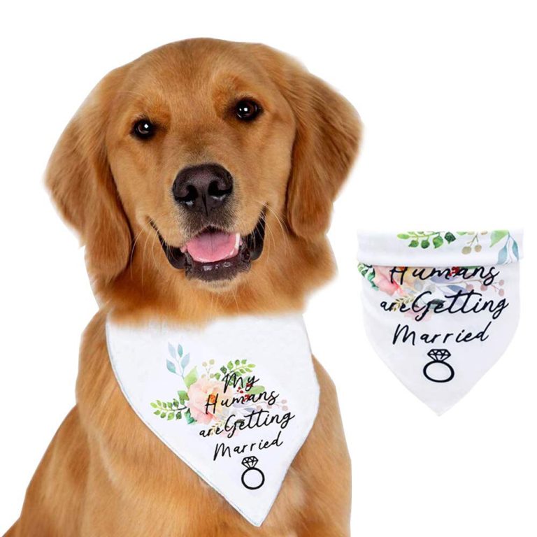 Dog Bandana Scarf For Sublimation Blanks Outlet